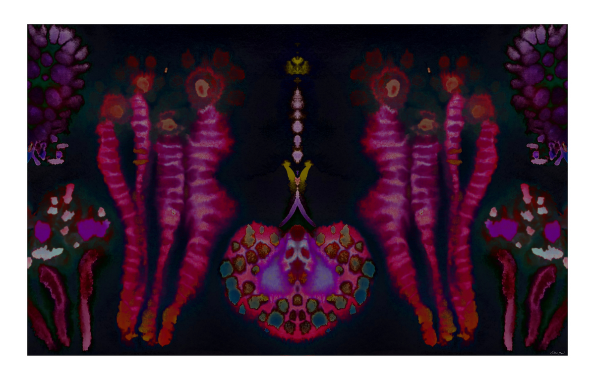 Living Echoes X