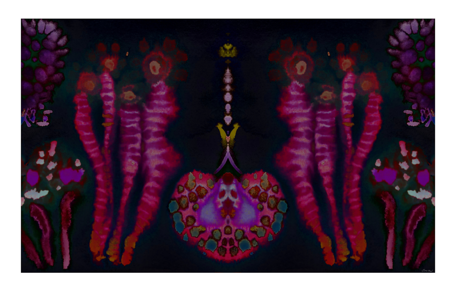 Living Echoes X