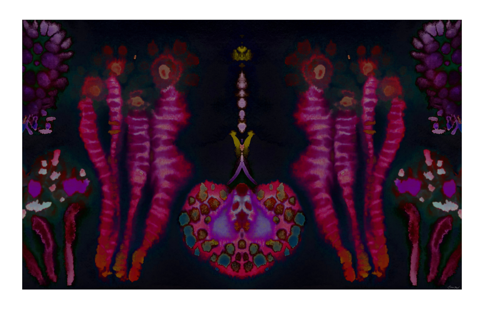 Living Echoes X
