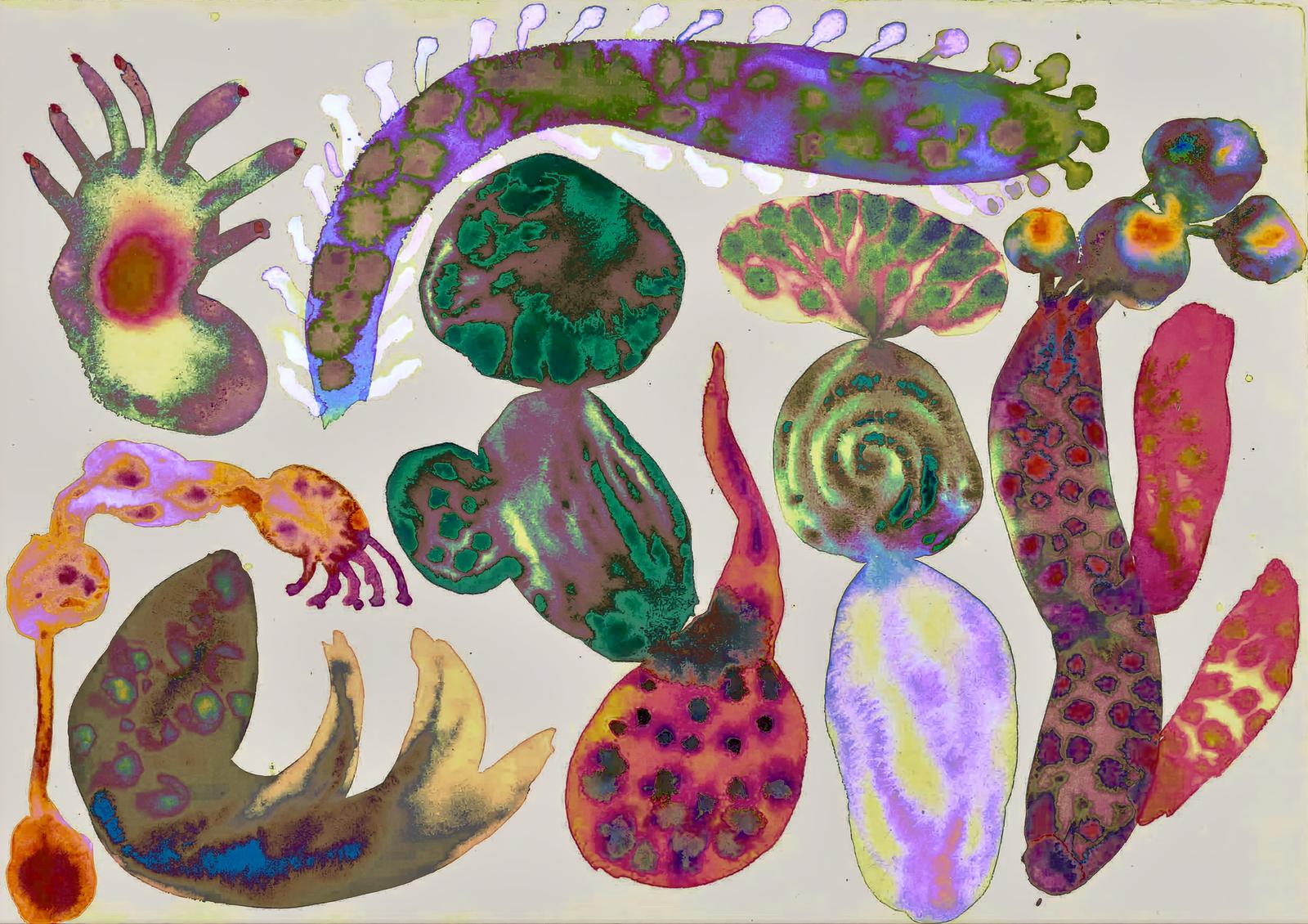 Has anyone seen my seaslug?