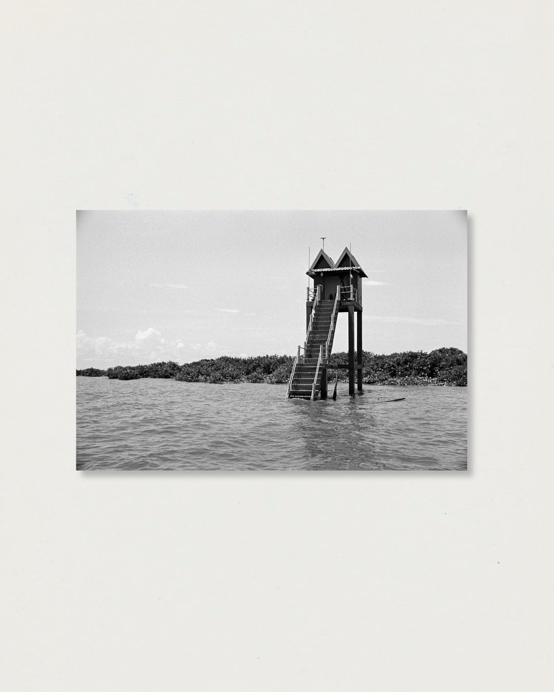 Untitled (46)