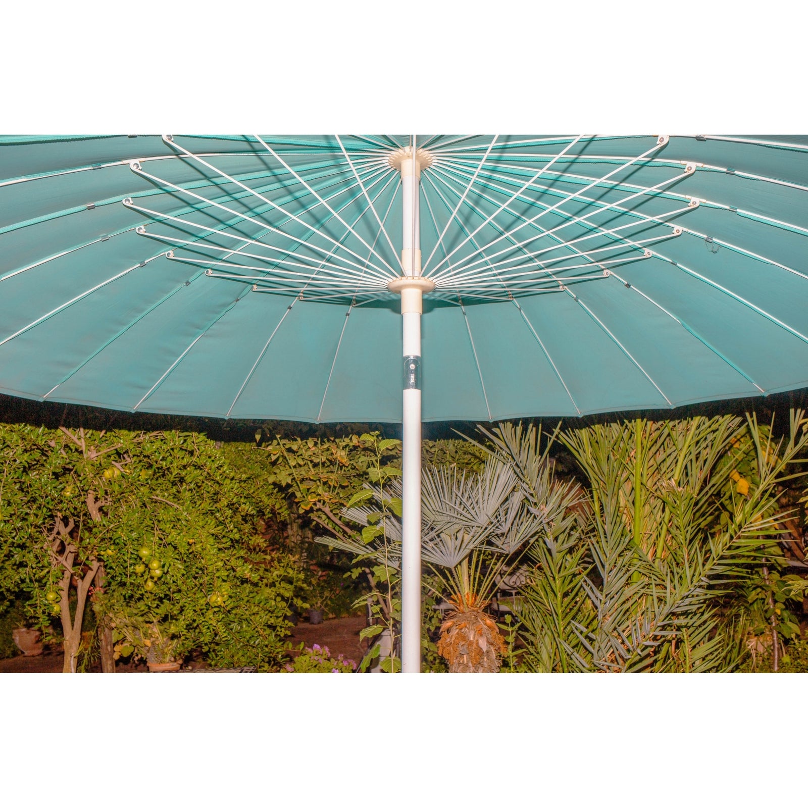 umbrella flash on!