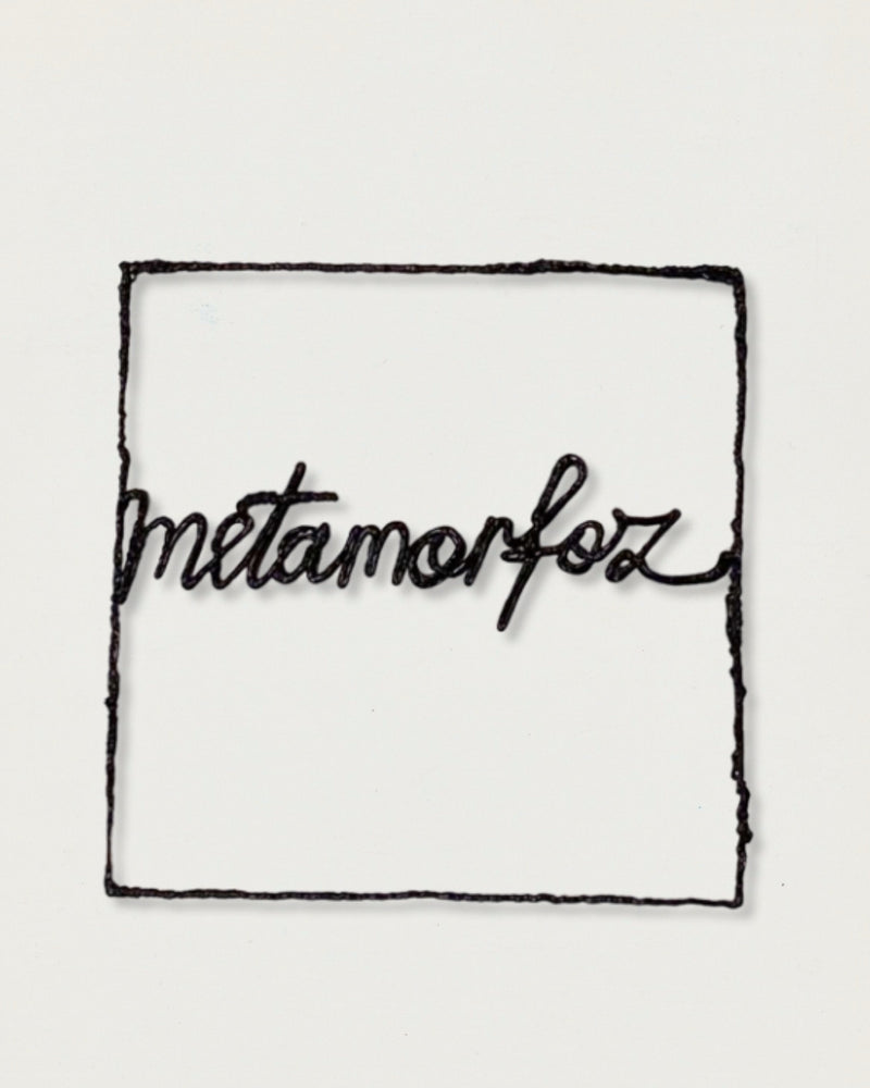 Metamorfoz